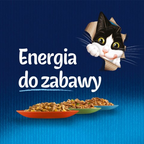 Felix Fantastic Łosoś W Galaretce 85g Felix