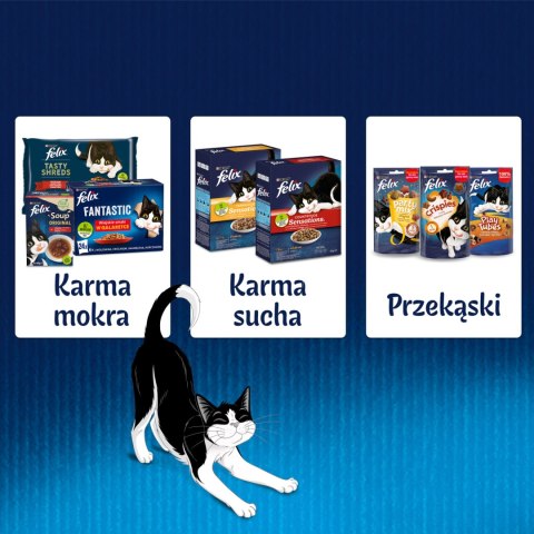Felix Sensations Jellies Kaczka Z Szpinakiem W Galaretce 85g Felix