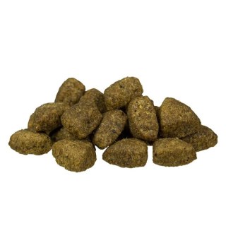 BOSCH Adult Lamb & Rice 15kg Bosch