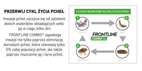 FRONTLINE Combo Spot-On Dla Psów 3x2,68ml Frontline (Boehringer Ingelheim)