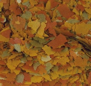 Tropical Goldfish Color 500ml Tropical