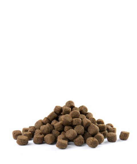 Versele-Laga Opti Life Adult Digestion Medium&Maxi Jagnięcina Z Ryżem 12,5kg Versele-Laga