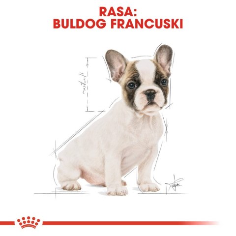 ROYAL CANIN French Bulldog Puppy 10kg Royal Canin