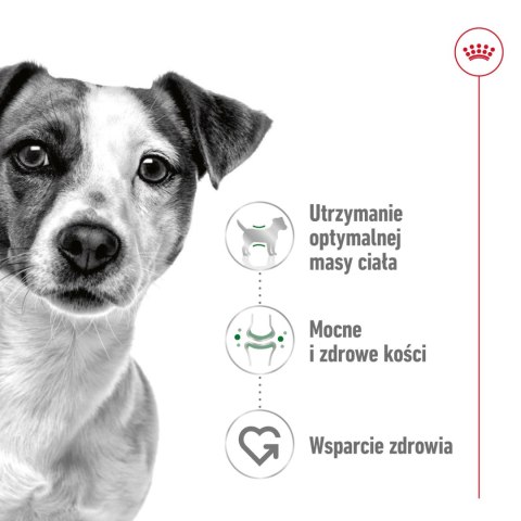 ROYAL CANIN Mini Adult 8kg Royal Canin