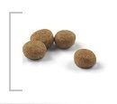 ROYAL CANIN Sterilised 37 4kg Royal Canin