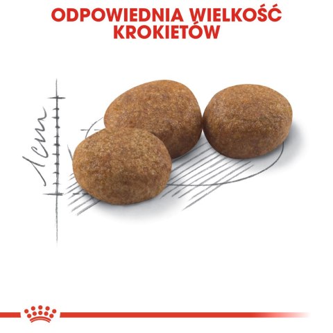 ROYAL CANIN Sterilised 37 4kg Royal Canin