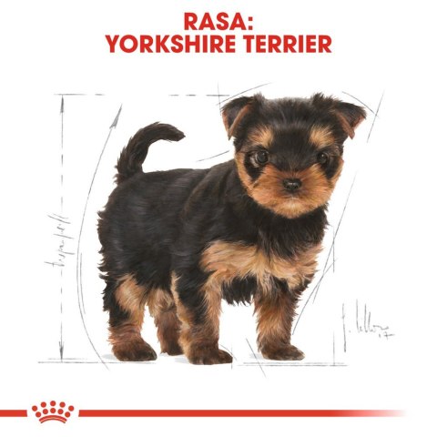 ROYAL CANIN Yorkshire Terrier Puppy 7,5kg Royal Canin