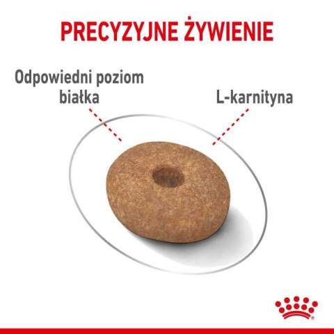 ROYAL CANIN CCN Mini Light Weight Care 3kg Royal Canin