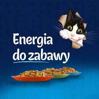 Felix Duo Wiejskie Smaki W Galaretce Z Mięsem 12x85g Felix