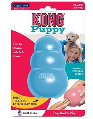 KONG Company Puppy M KONG Company