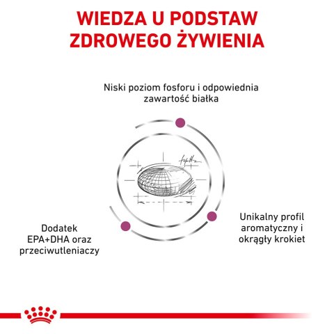 ROYAL CANIN Renal Feline 4kg Royal Canin weterynaria