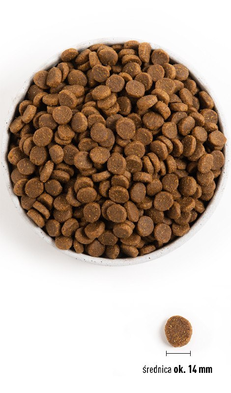 Acana Heritage Senior Dog 11,4kg Acana