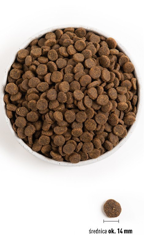 Acana Singles Grass-Fed Lamb 11,4kg Acana