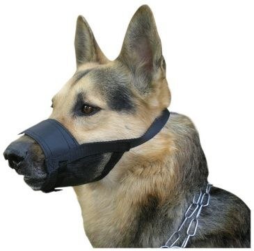 Dingo Kaganiec Weterynaryjny Nylonowy Dla Psa Rozmiar 4 22-30cm Dingo