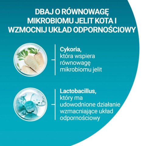 Purina One Cat Sterilcat Karma Z Wołowiną Dla Kota 800g PURINA ONE