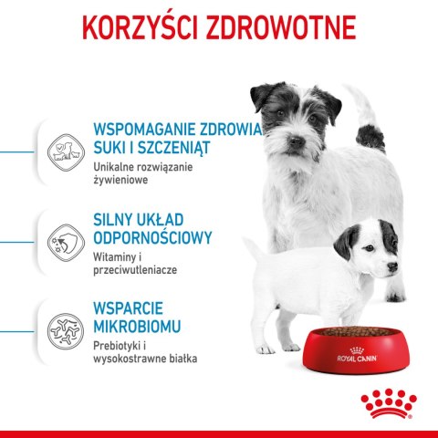 ROYAL CANIN Mini Starter Mother & Babydog 8kg Royal Canin
