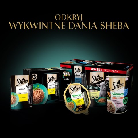 Sheba Delicacy Rybne Smaki W Galaretce, Z Łososiem, Z Białą Rybą, Z Tuńczykiem, Z Dorszem 80x85g Sheba