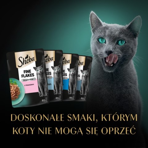 Sheba Delicacy Rybne Smaki W Galaretce, Z Łososiem, Z Białą Rybą, Z Tuńczykiem, Z Dorszem 80x85g Sheba
