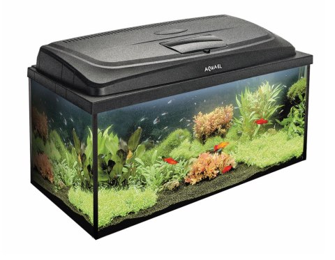 AQUAEL Zestaw Akwarystyczny Aqua4Family 80/P D&N AQUA EL