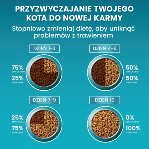 Purina One Cat Coat & Hairball Karma dla kotów z kurczaka 800g PURINA ONE