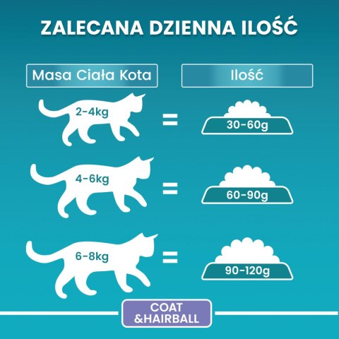 Purina One Cat Coat & Hairball Karma dla kotów z kurczaka 800g PURINA ONE