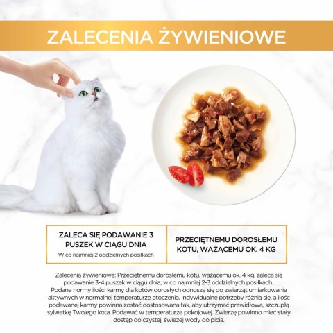 Purina Gourmet Gold z wołowiną i kurczakiem w sosie z pomidorami 85g Gourmet