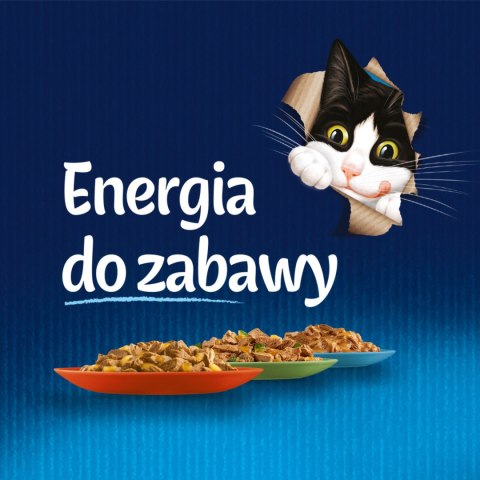 Felix Sensations Sauces Karma Dla Kota Wiejskie Smaki W Sosie 4x85g Felix