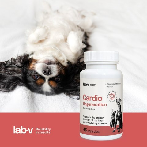 Lab-v Cardio Regeneration Wsparcie Prawidłowego Funkcjonowania Pracy Serca I Układu Krążenia Dla Psów I Kotów 45 Kapsułek LAB-V