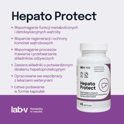 Lab-v Hepato Protect Wspomaganie Funkcji Wątroby Dla Psów I Kotów 45 Kapsułek LAB-V