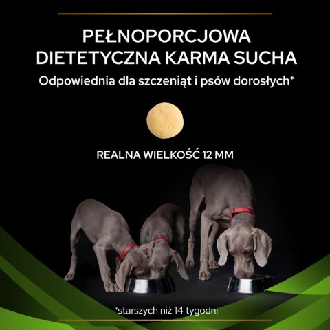 PRO PLAN Veterinary Diets HA Hypoallergenic Karma Sucha dla Psa 7 kg PRO PLAN Veterinary Diets