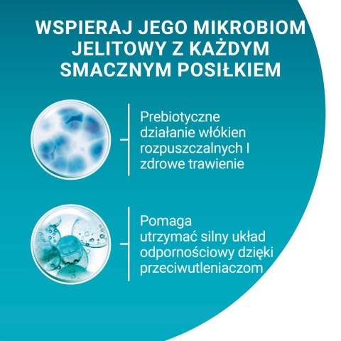Purina One Adult Karma Dla Kota Z Kurczakiem I Zieloną Fasolką 85g PURINA ONE