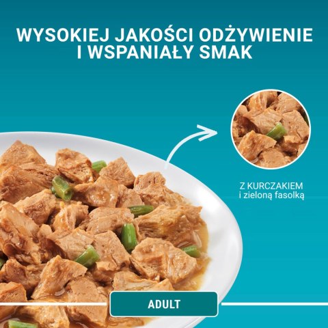 Purina One Adult Karma Dla Kota Z Kurczakiem I Zieloną Fasolką 85g PURINA ONE