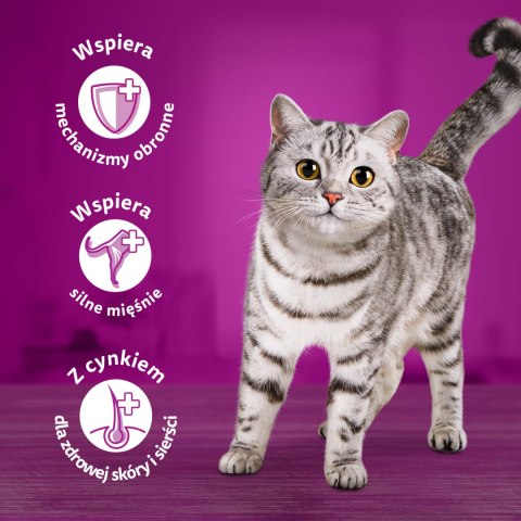 Whiskas Adult Saszetki 40 x 85g Rybne Przysmaki - Mokra Karma Dla Kota Whiskas