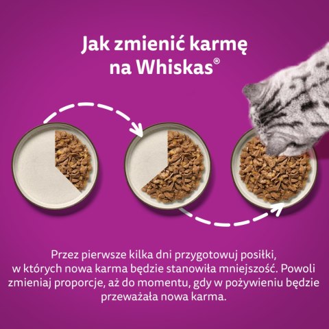 Whiskas Adult Saszetki 40 x 85g Rybne Przysmaki - Mokra Karma Dla Kota Whiskas