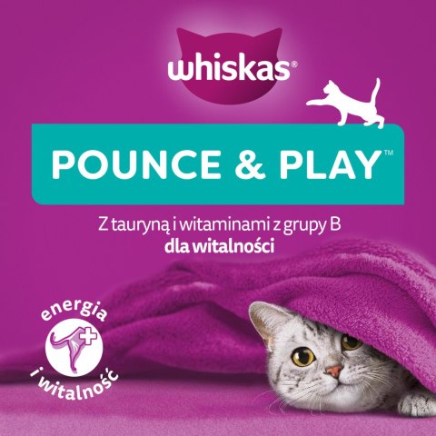 Whiskas Energia I Witalność Przysmak Dla Kota Z Kurczakiem 45g Whiskas