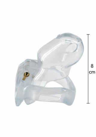 Clear Control Cock Cage Regular Hidden Desire