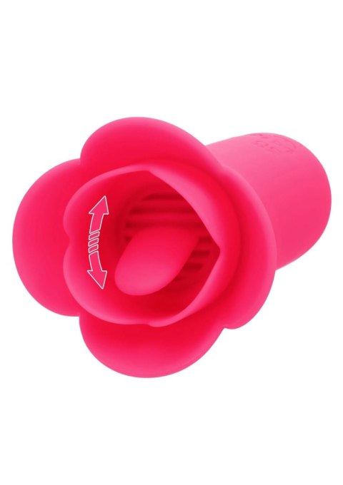 Lily Licker Mini Flower Flicker CalExotics