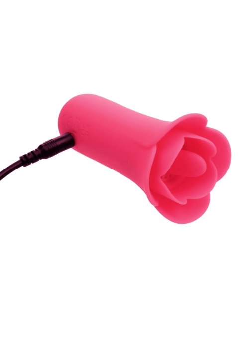 Lily Licker Mini Flower Flicker CalExotics