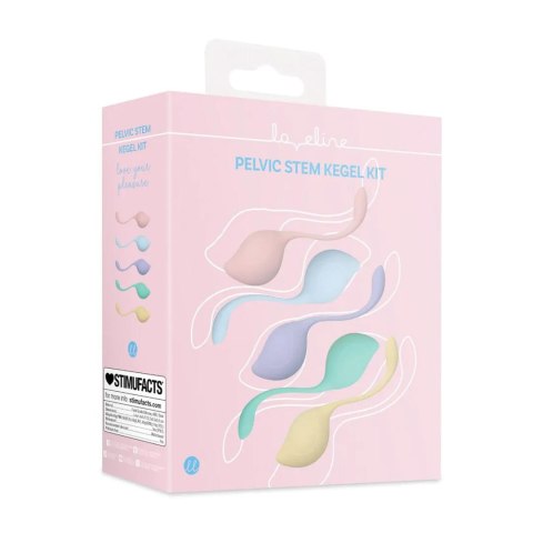 Pelvic Stem Kegel Kit - Multicolor Loveline