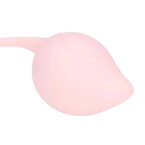 Pelvic Stem Kegel Kit - Multicolor Loveline