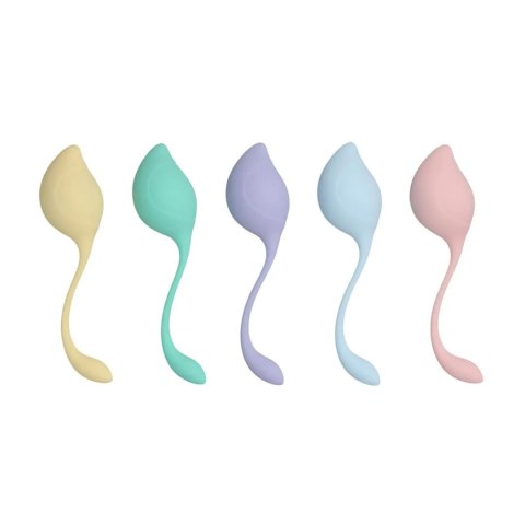 Pelvic Stem Kegel Kit - Multicolor Loveline