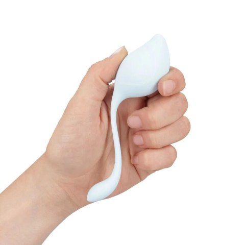 Pelvic Stem Kegel Kit - Multicolor Loveline