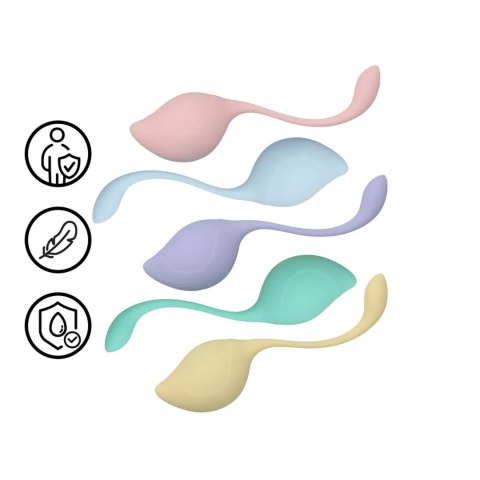 Pelvic Stem Kegel Kit - Multicolor Loveline