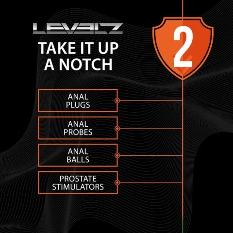 Silicone Anal Plug with Loop - M - Black Levelz